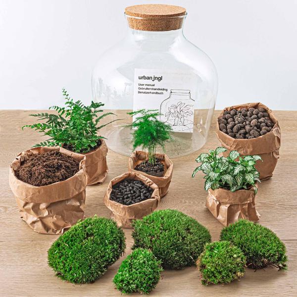 DIY terrarium - Fat Joe Groen - ↕ 30 cm - Rake + Shovel + Tweezer