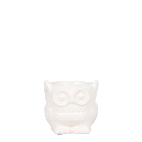 Kolibri Home | Owl bloempot - Witte keramieken sierpot - Ø6cm