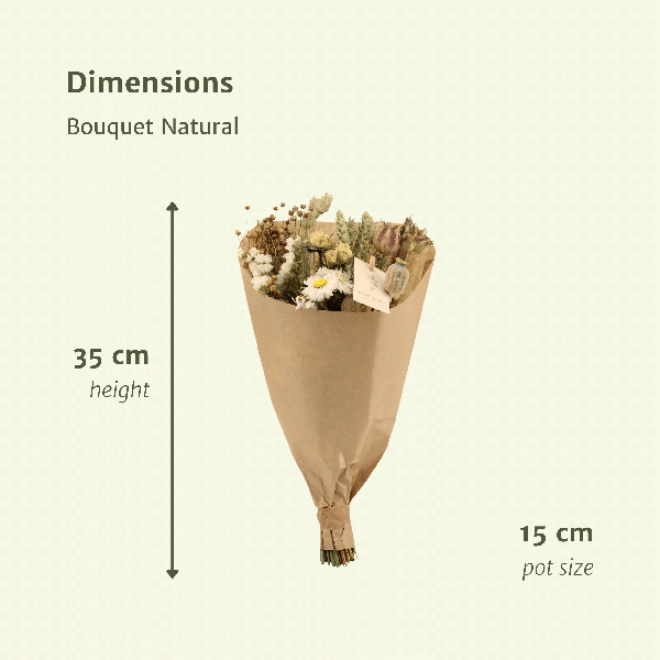 Droogbloemen Field Bouquet Natural - Ø15cm - ↕35cm