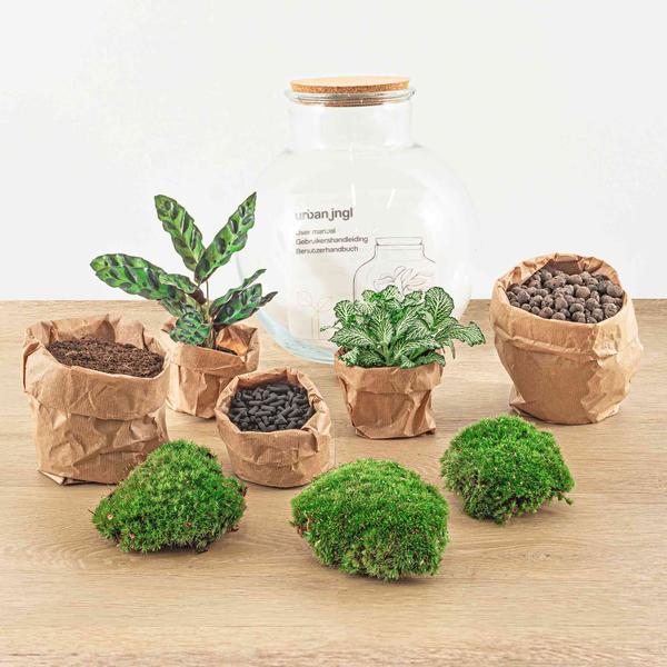 DIY terrarium - Teddy - ↕ 26,5 cm - Rake + Shovel