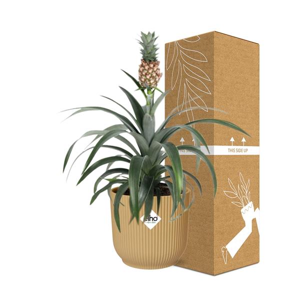 Ananas Mi Amigo in ELHO Vibes Fold 14cm geel