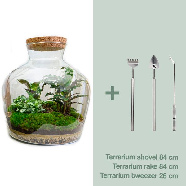 DIY terrarium -  Fat Joe - ↕ 30 cm - Rake + Shovel + Tweezer