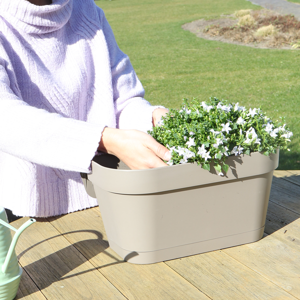 Campanula Addenda Ambella white - Balkonbak taupe met 3 stuks campanula potmaat 12cm - Incl. ophangsysteem - Klokjesbloem wit - vaste planten - tuinplanten