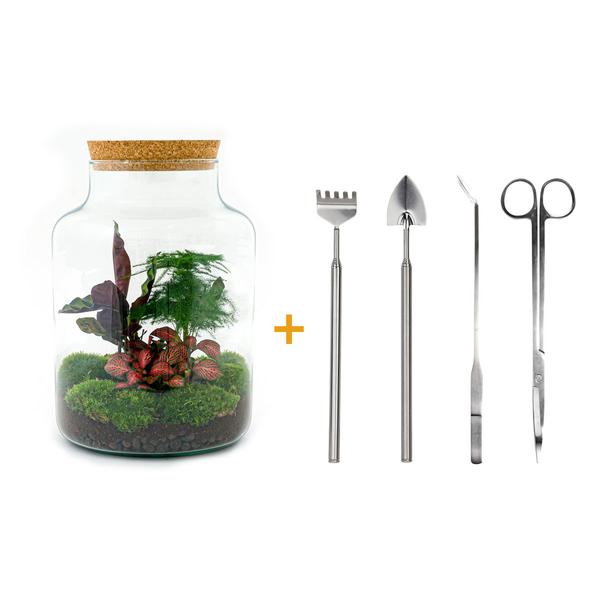 DIY terrarium - Milky - ↕ 30 cm - Rake + Shovel + Tweezer + Scissors