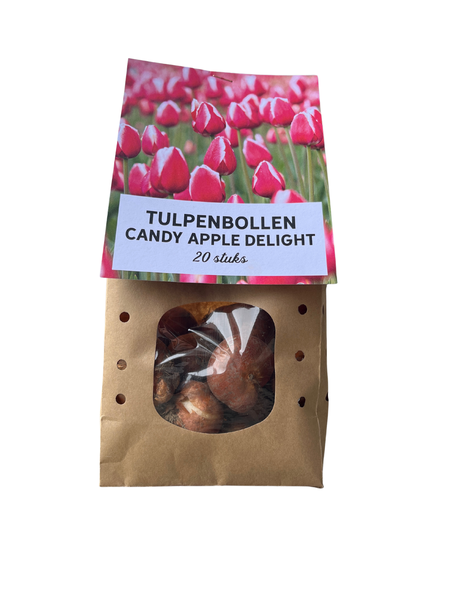 Candy Apple Delight - Tulpenbollen 20 stuks