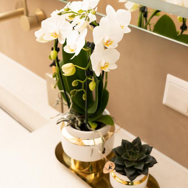 Kolibri Home | Le Chic bloempot - Witte keramieken sierpot met gouden details - Ø6cm