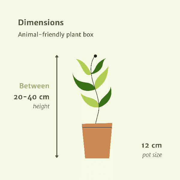 Diervriendelijke plantenbox - 4 stuks - Ø12cm - ↕20-40cm