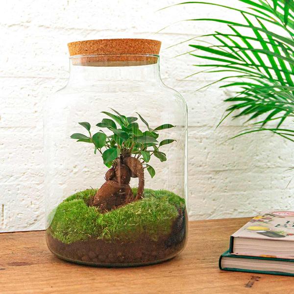 DIY terrarium - Milky met bonsai - ↕ 30 cm  - Rake + Shovel + Tweezer