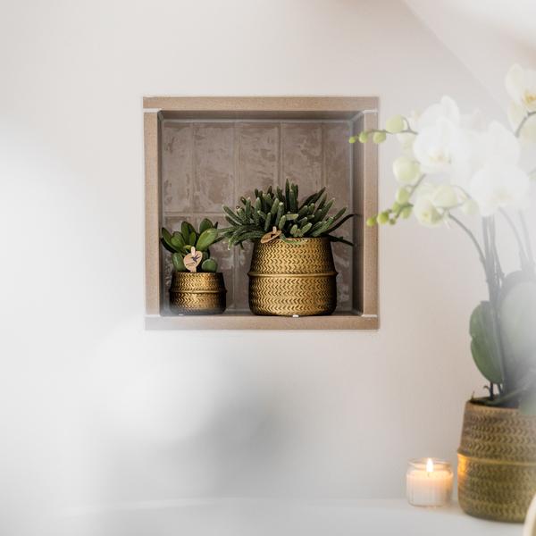 Kolibri Greens | Succulenten set van 2 planten in gouden groove sierpotten - keramiek  potmaat Ø9cm