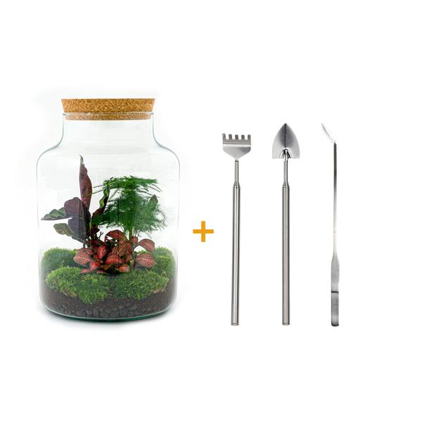 DIY terrarium - Milky - ↕ 30 cm - Rake + Shovel + Tweezer