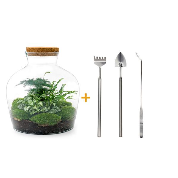 DIY terrarium - Fat Joe Groen - ↕ 30 cm - Rake + Shovel + Tweezer