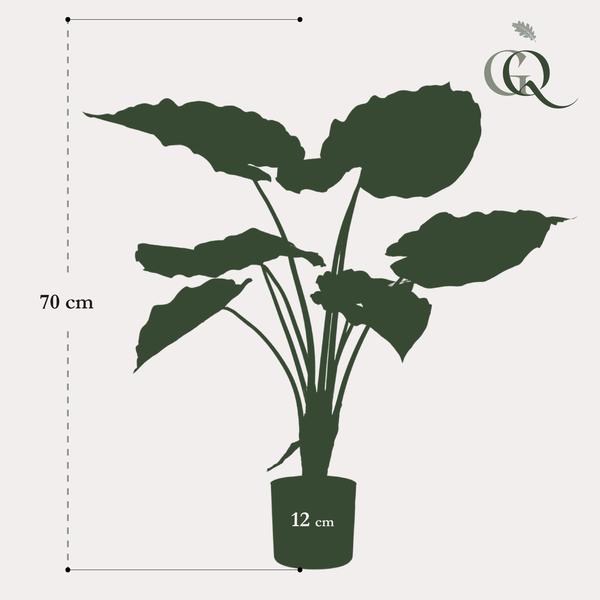 Kunstplant - Alocasia - Olifantsoor - 70 cm