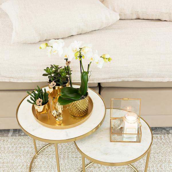 Kolibri Home | Ornament - Decoratie beeld Cactus - Gold