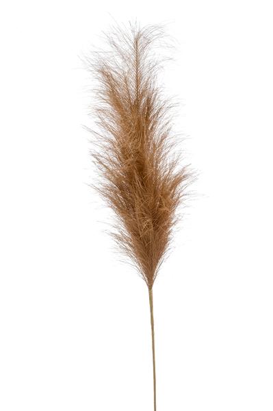 Kunstbloemen Solo - Brown - Pampas Plumes - x 6 - 115cm