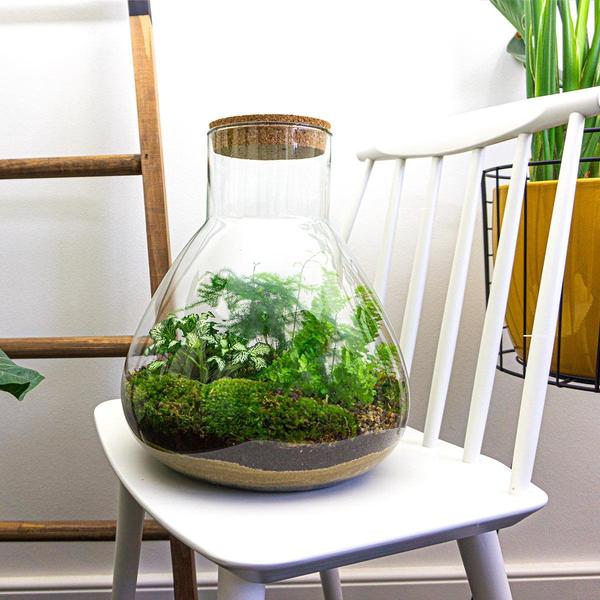 DIY terrarium - Sam XL - ↕ 35 cm - Rake + Shovel + Tweezer + Scissors