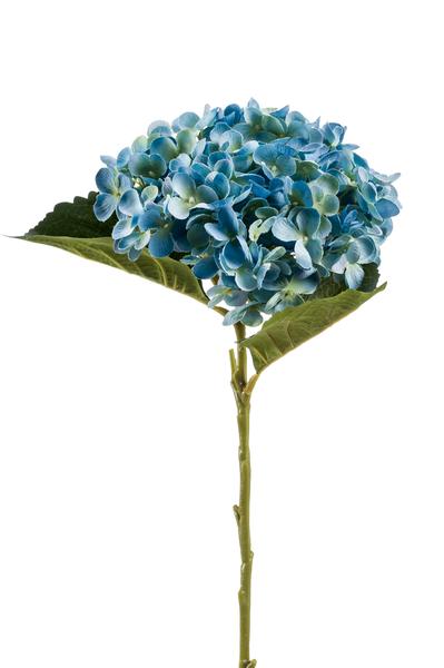 Kunstbloemen Solo - Blue - Hydrangea Flower - x 8 - 52 cm