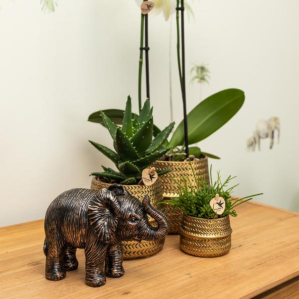 Kolibri Home | Ornament - Decoratie beeld Elephant - Black