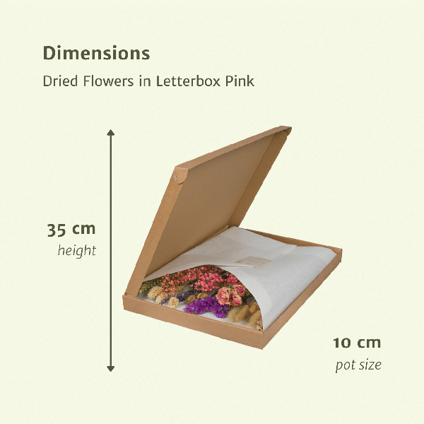 Droogbloemen in Letterbox - Pink