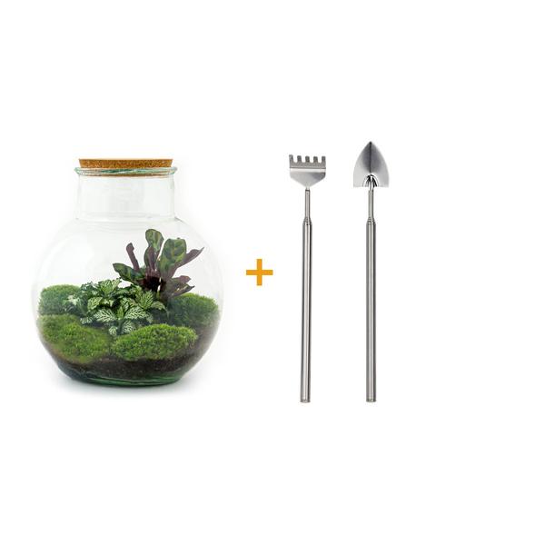 DIY terrarium - Teddy - ↕ 26,5 cm - Rake + Shovel