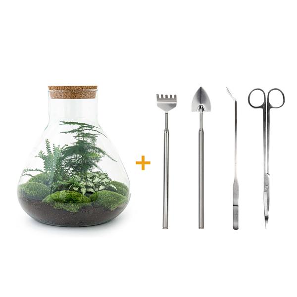 DIY terrarium - Sam XL - ↕ 35 cm - Rake + Shovel + Tweezer + Scissors