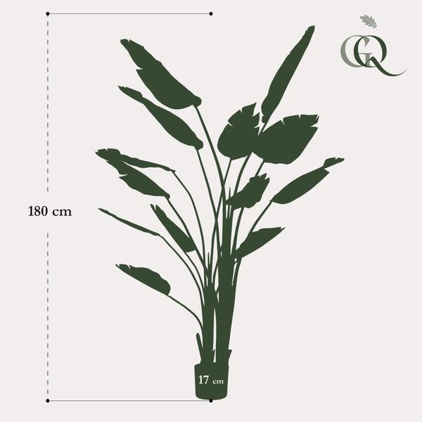 Kunstplant - Strelitzia Nicolai - Paradijsvogelbloem - 190 cm