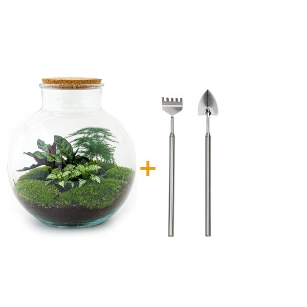 DIY terrarium - Bolder Bob - ↕ 30 cm - Rake + Shovel