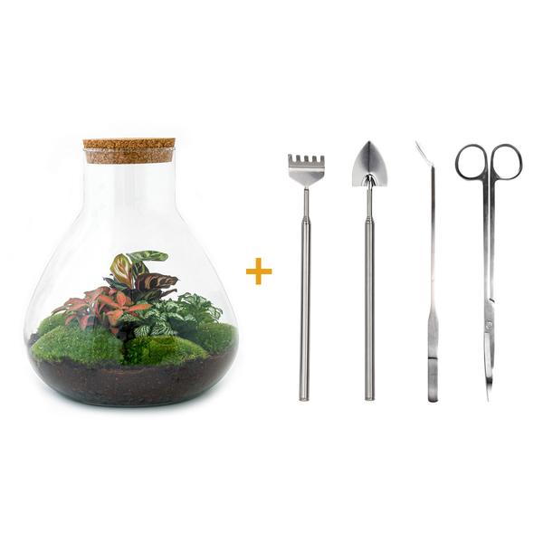 DIY terrarium - Sam XL Rood - ↕ 35 cm - Rake + Shovel + Tweezer + Scissors