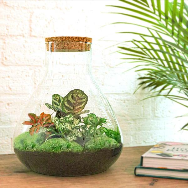 DIY terrarium - Sam XL Rood - ↕ 35 cm - Rake + Shovel + Tweezer + Scissors