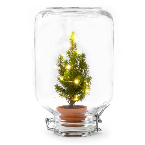 Easyplant - Christmas - Kerst decoratie  - ↕ 28 cm