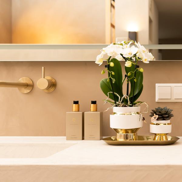 Kolibri Home | Le Chic bloempot - Witte keramieken sierpot met gouden details - Ø6cm