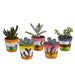 Vetplanten mix 5.5 cm - 5x - in Mexicaanse pot - 123flora.nl