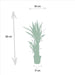 Yucca - Ø17cm - ↕90cm - 123flora.nl